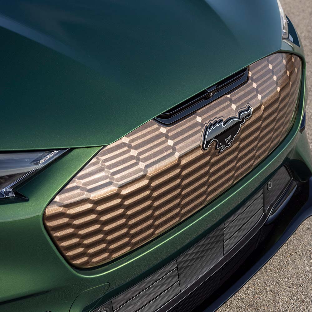 Ford Mustang Mach-E detail of bronze grille and brinze badging